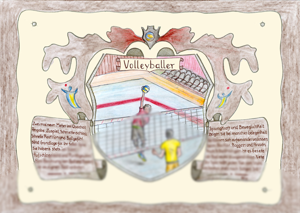 Volleyballer